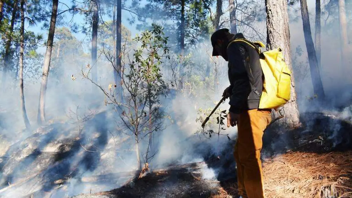 incendio en la sierra 2